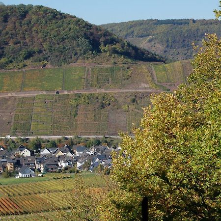 Ferienhaus Mosel Bub Bruttig-Fankel Ngoại thất bức ảnh