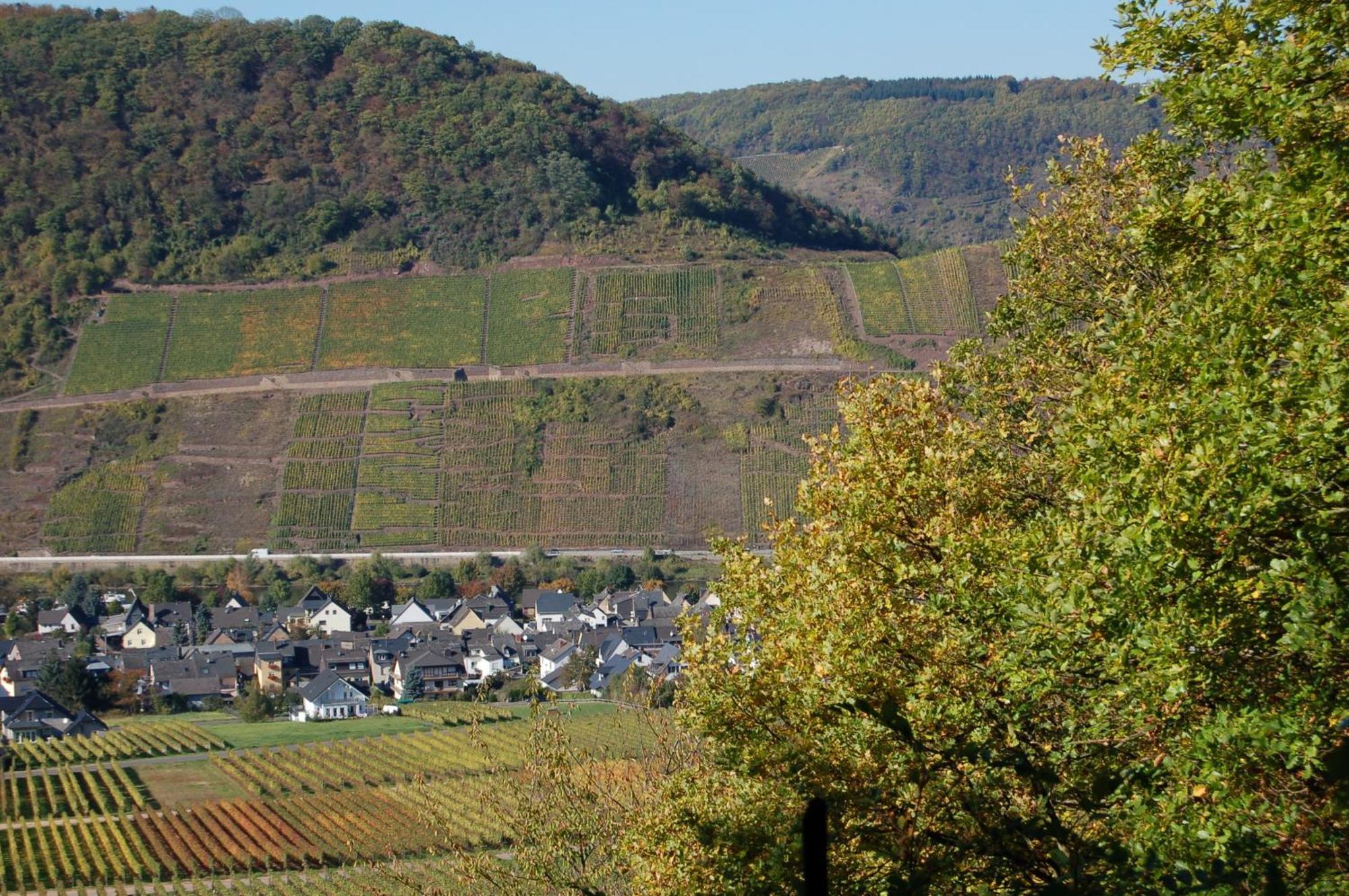 Ferienhaus Mosel Bub Bruttig-Fankel Ngoại thất bức ảnh