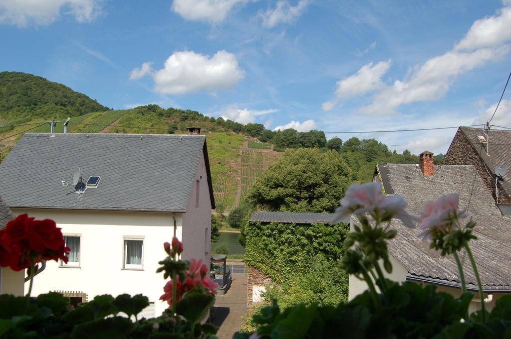 Ferienhaus Mosel Bub Bruttig-Fankel Phòng bức ảnh