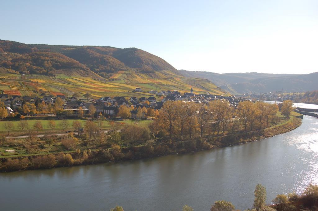 Ferienhaus Mosel Bub Bruttig-Fankel Phòng bức ảnh
