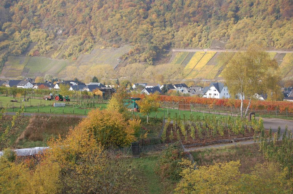 Ferienhaus Mosel Bub Bruttig-Fankel Phòng bức ảnh